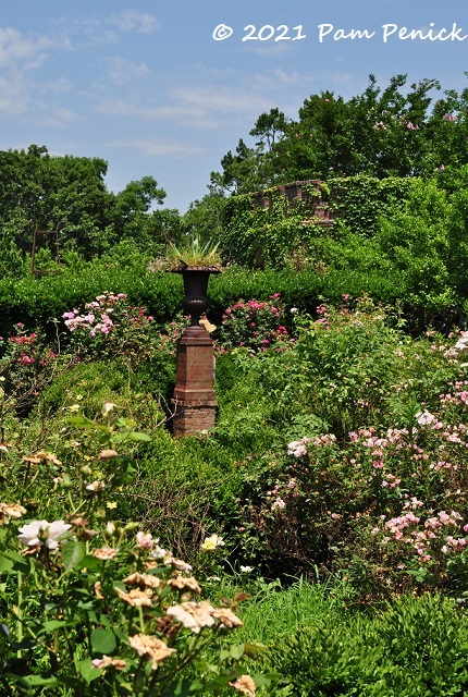 49_Roses_Agave_urn.jpg