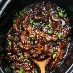 slow-cooker-mongolian-beef-5-250x250.jpg