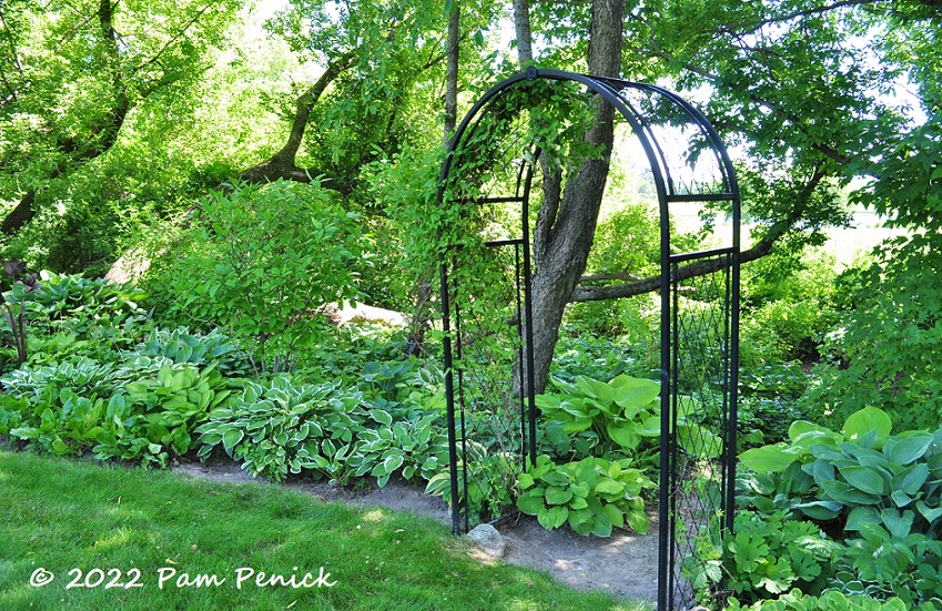 18_Garden_arch_Hostas.jpg