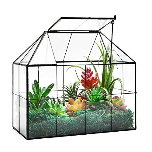 Large Glass Terrarium House Planter – Succulent Plant Glass Greenhouse With Lid 9.8