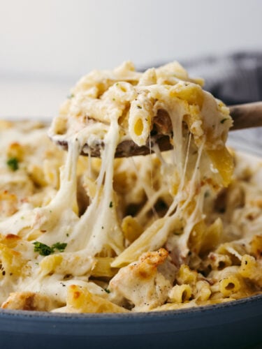 bakedchickenalfredopasta-2-375x500.jpg