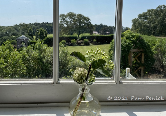 06_Kitchen_bouquet_View.jpg