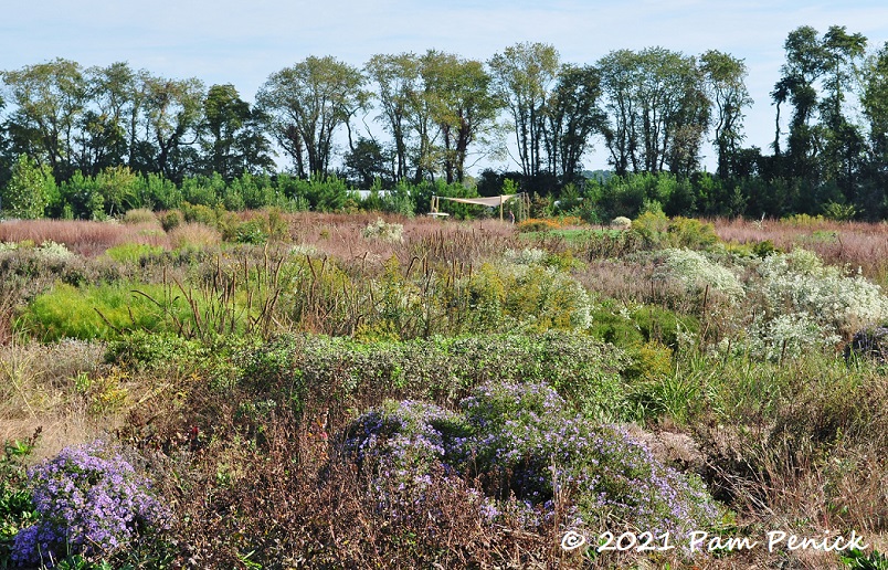 05_Fall_meadow.jpg