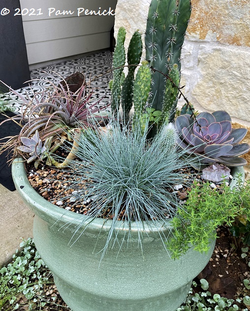 08_Succulent_planter.jpg