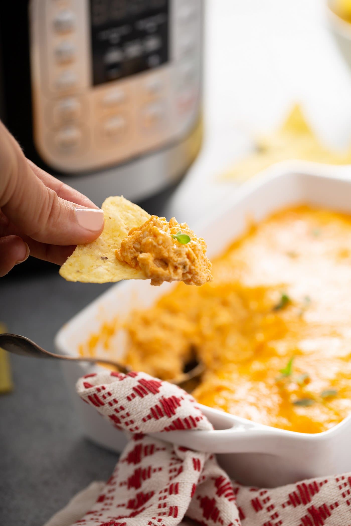 A chip dipped in buffalo chicken dip. There is shredded chicken and melted cheese on the chip and a dish of buffalo chicken dip is beneath the chip. More chips are beside the dish.
