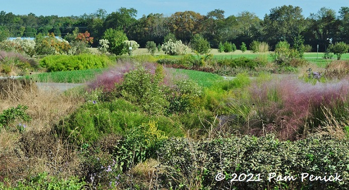29_Meadow_berm.jpg