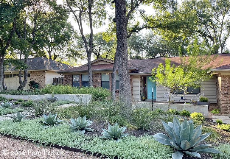 02_Xeriscape_no_lawn_front_garden.jpg