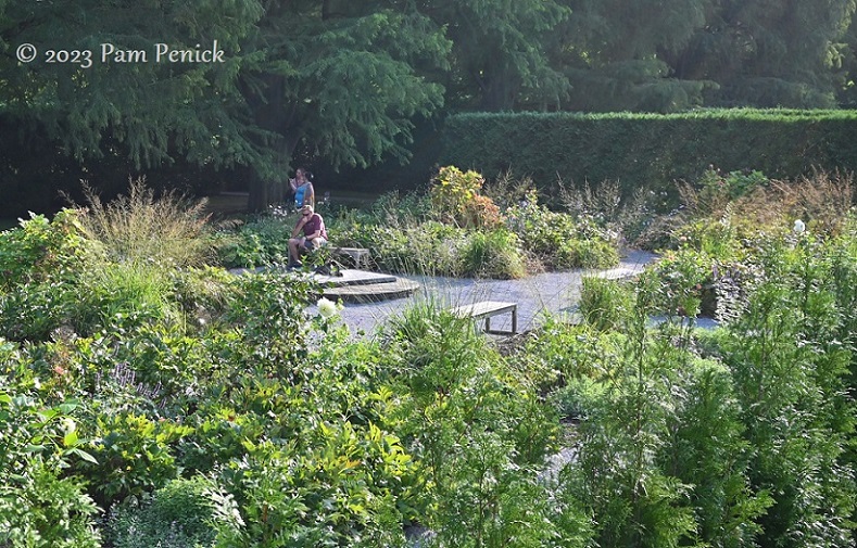 20_Grassy_garden_hedged.jpg
