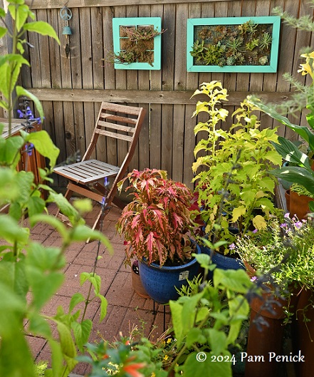 29_Patio_garden_containers.jpg