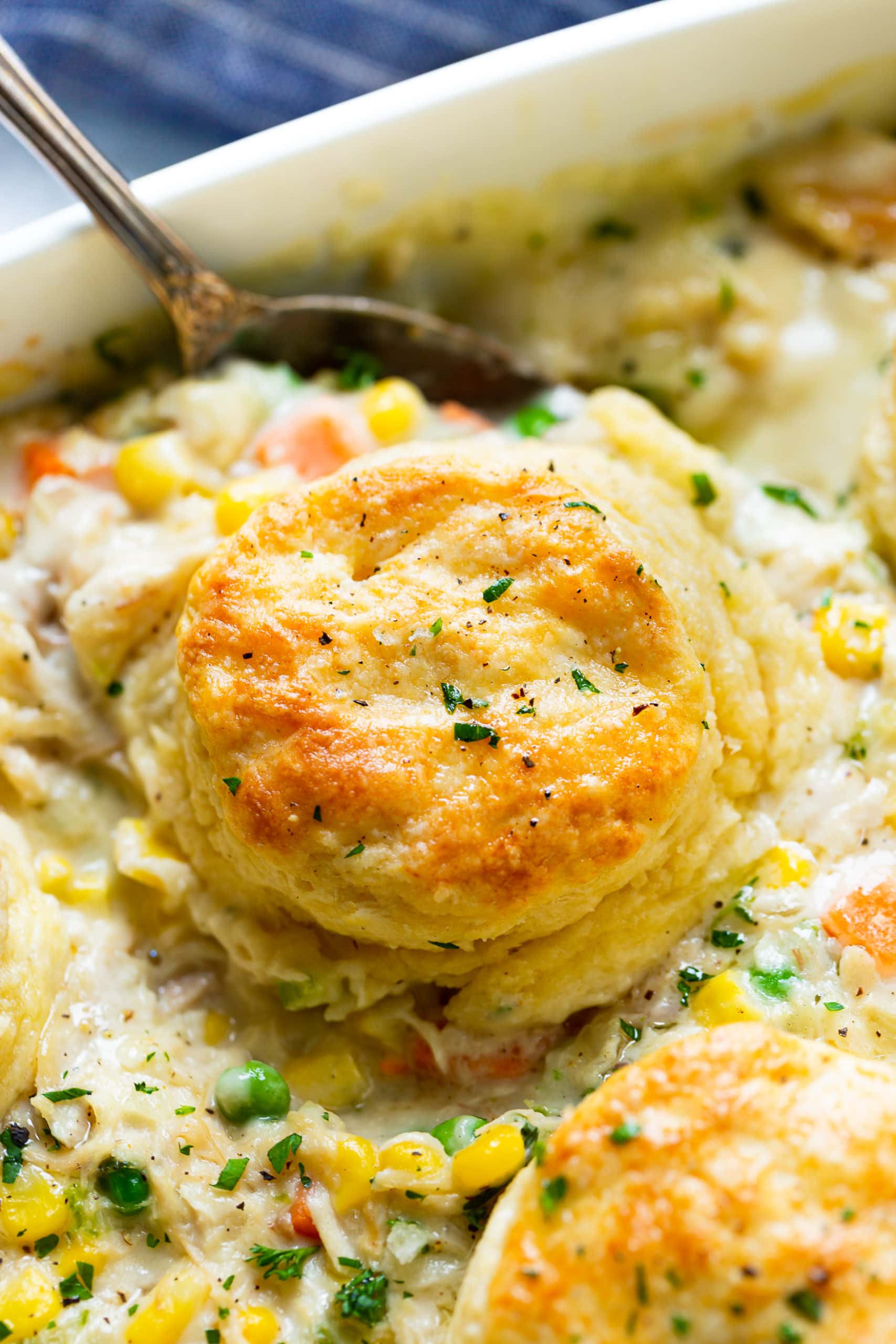a photo of a single golden flaky biscuit on top of creamy chicken pot pie full of veggies and juicy chicken.