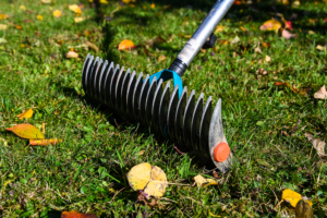 Winterize-Your-Lawn-Image-3-300x200.jpg