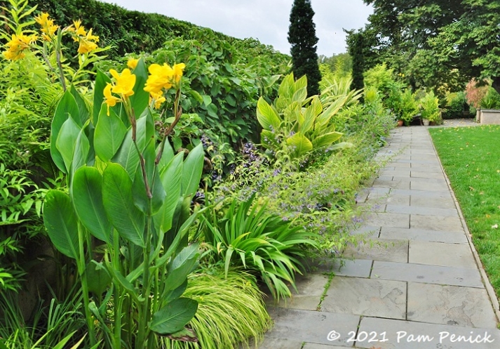 40_Golden_border_w_cannas.jpg