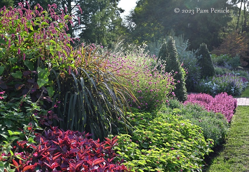 29_Pink_flower_border.jpg