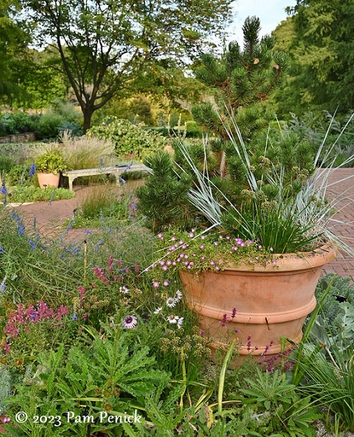 41_Pine_grass_pot.jpg