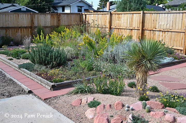 11_Xeriscape_crevice_garden.jpg