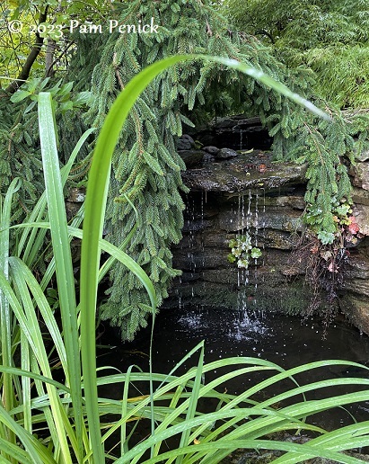 19_Pond_waterfall.jpg