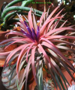 IMG_7721-scaled-1-248x300.jpg