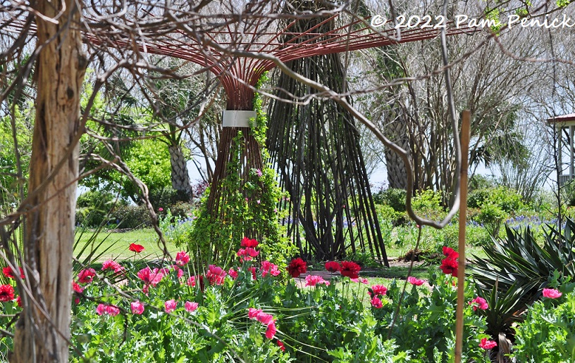 01_Rose_trellis_Poppies.jpg