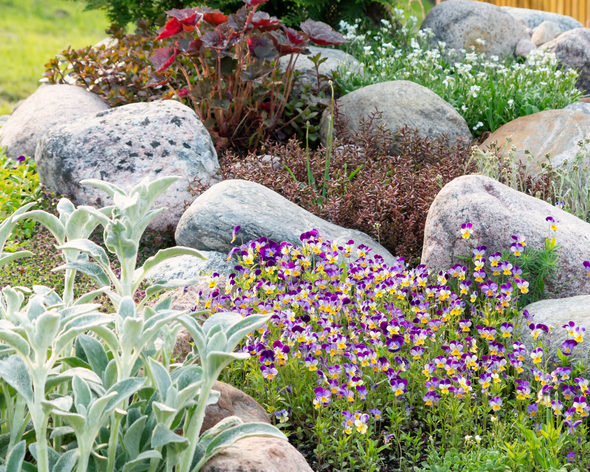 Small rock garden