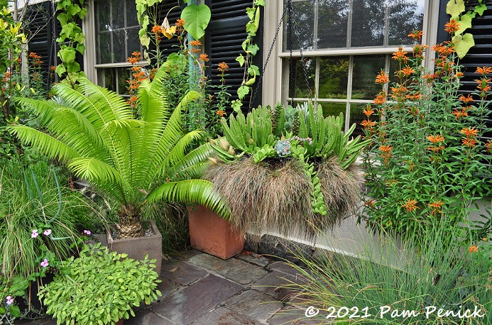 57_Porch_plants.jpg