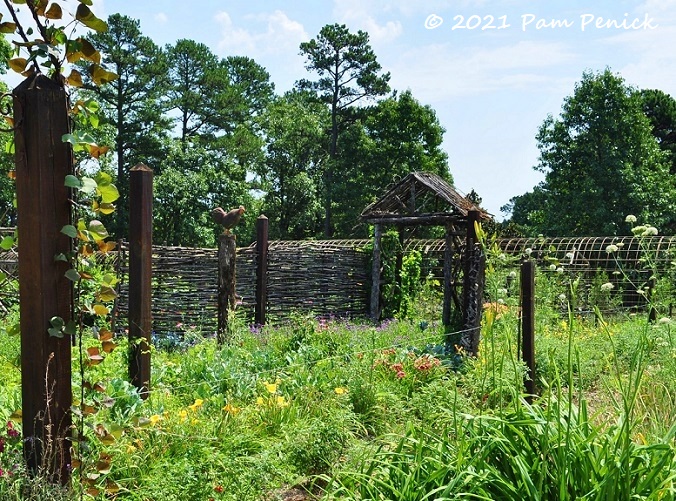 Veg_garden.jpg
