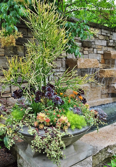 17_Succulent_planter_Wall_fountain.jpg