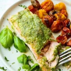 pesto-salmon--250x250.jpg