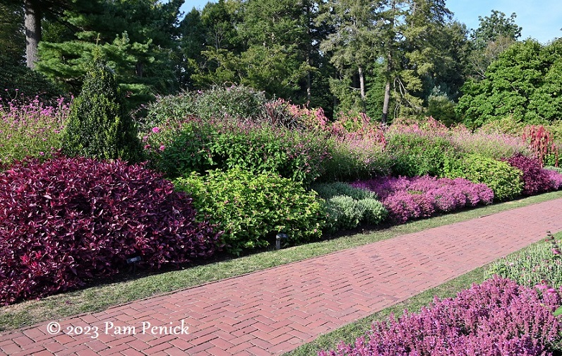 25_Pink_flower_border.jpg