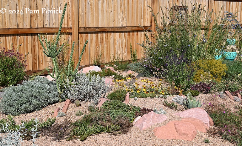 18_Cholla_gravel_garden.jpg