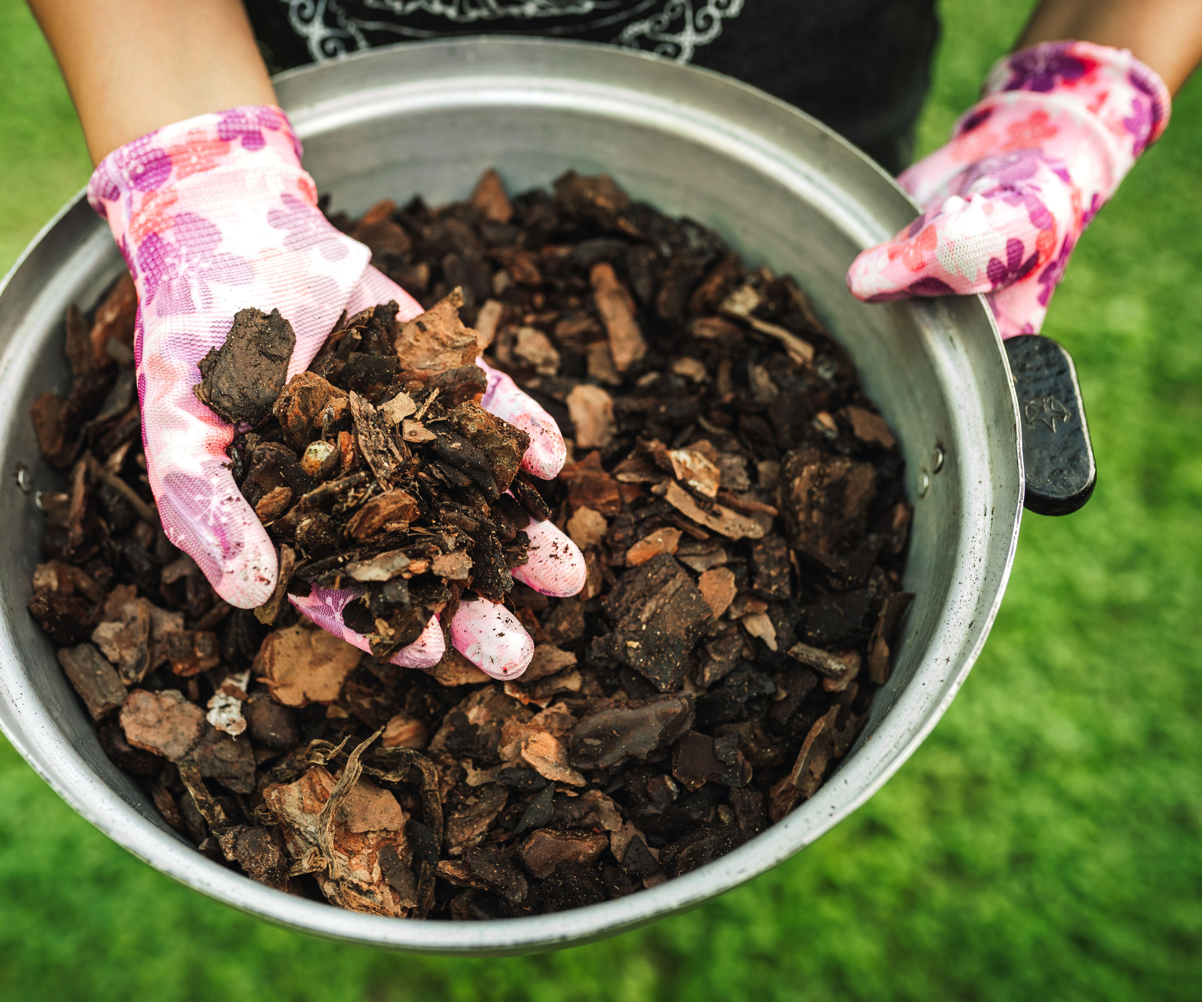 bowl of mulch held by woman wearing pink gloves
