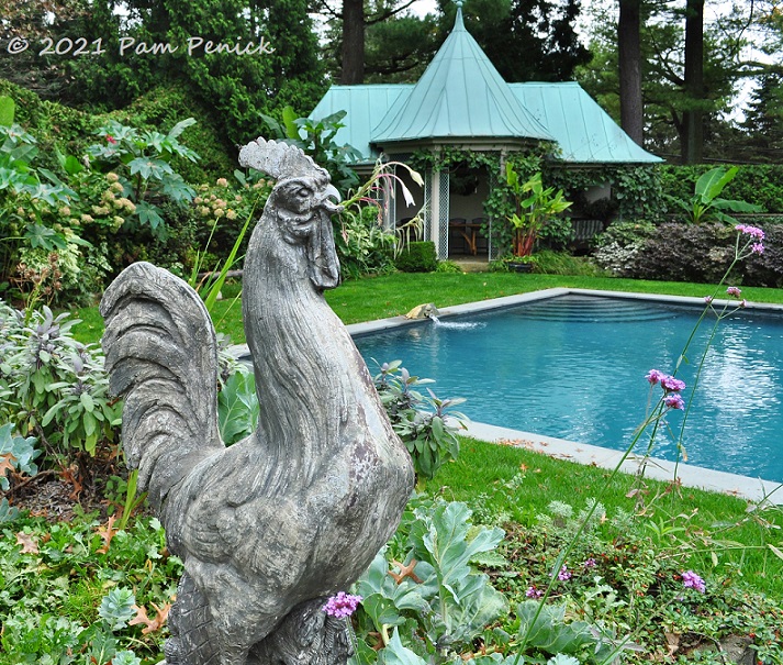 48_Rooster_Poolhouse_Pool.jpg