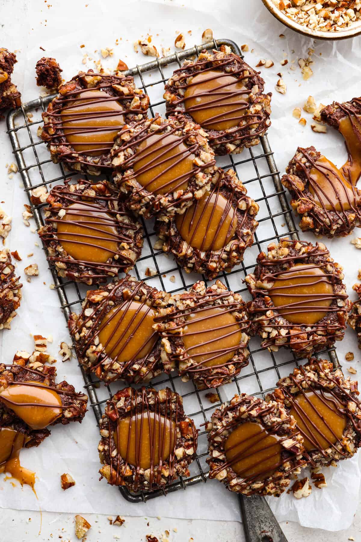 turtle-cookies-.jpg