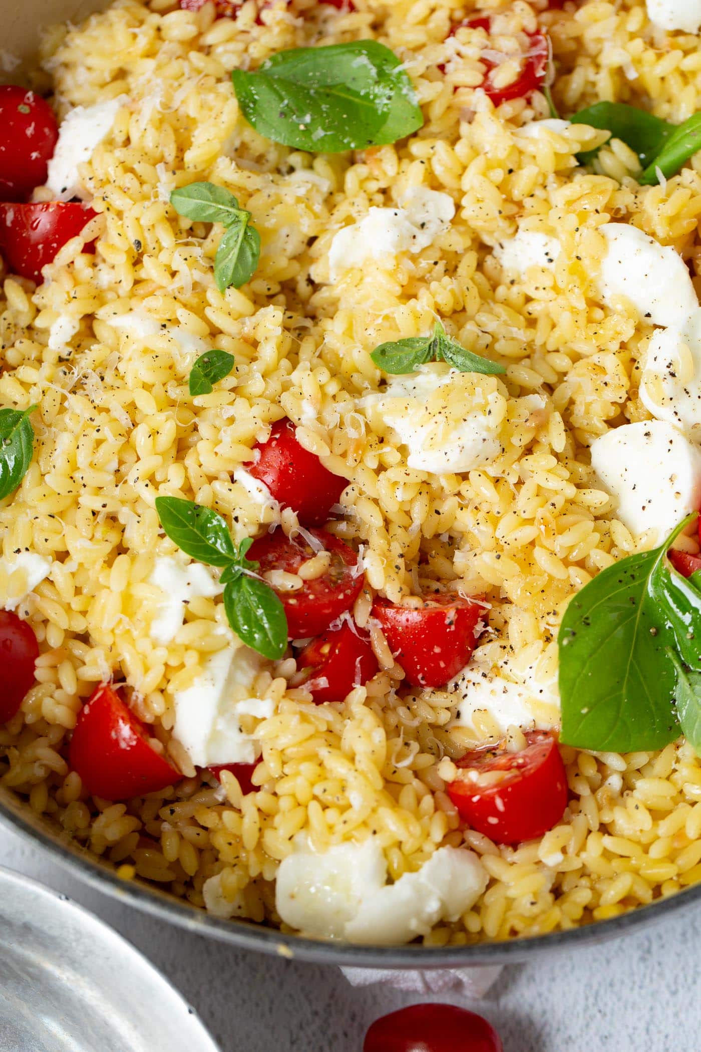 Caprese orzo salad packed with tomatoes, mozzarella chunks and fresh basil.