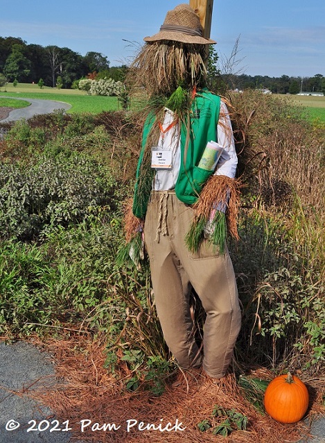 39_Scarecrow_staffer.jpg