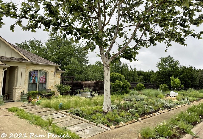 01_Front_yard_garden.jpg