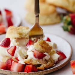 strawberrydessert-250x250.jpg