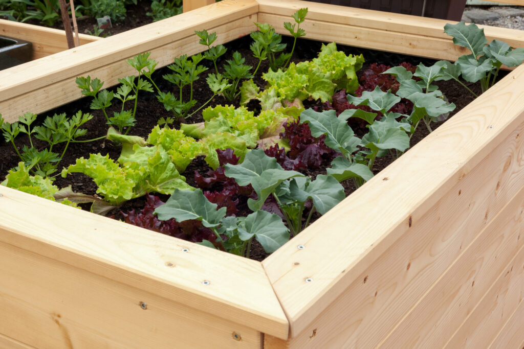 Raised bed with top cap for sitting