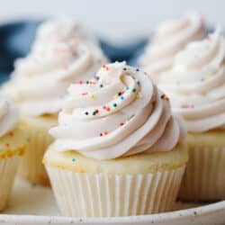 vanillacupcakes-250x250.jpg