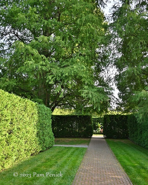 23_Hedge_view.jpg