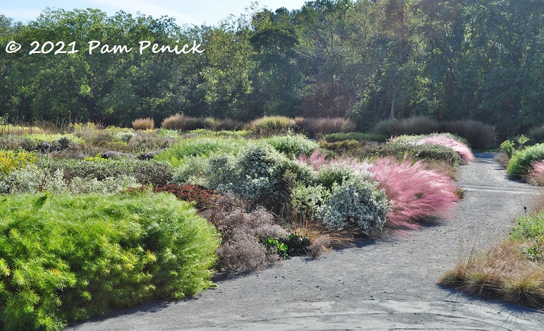 36_Meadow_path.jpg