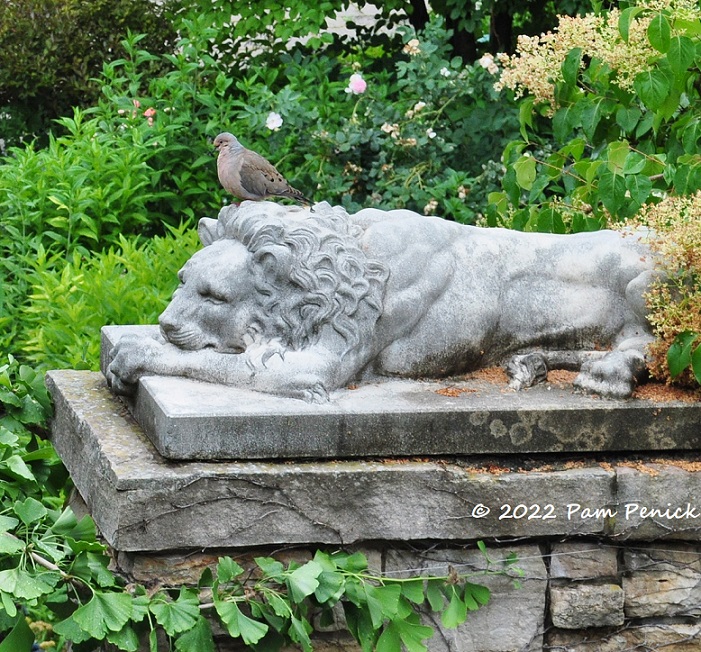 31_Stone_lion_Dove.jpg