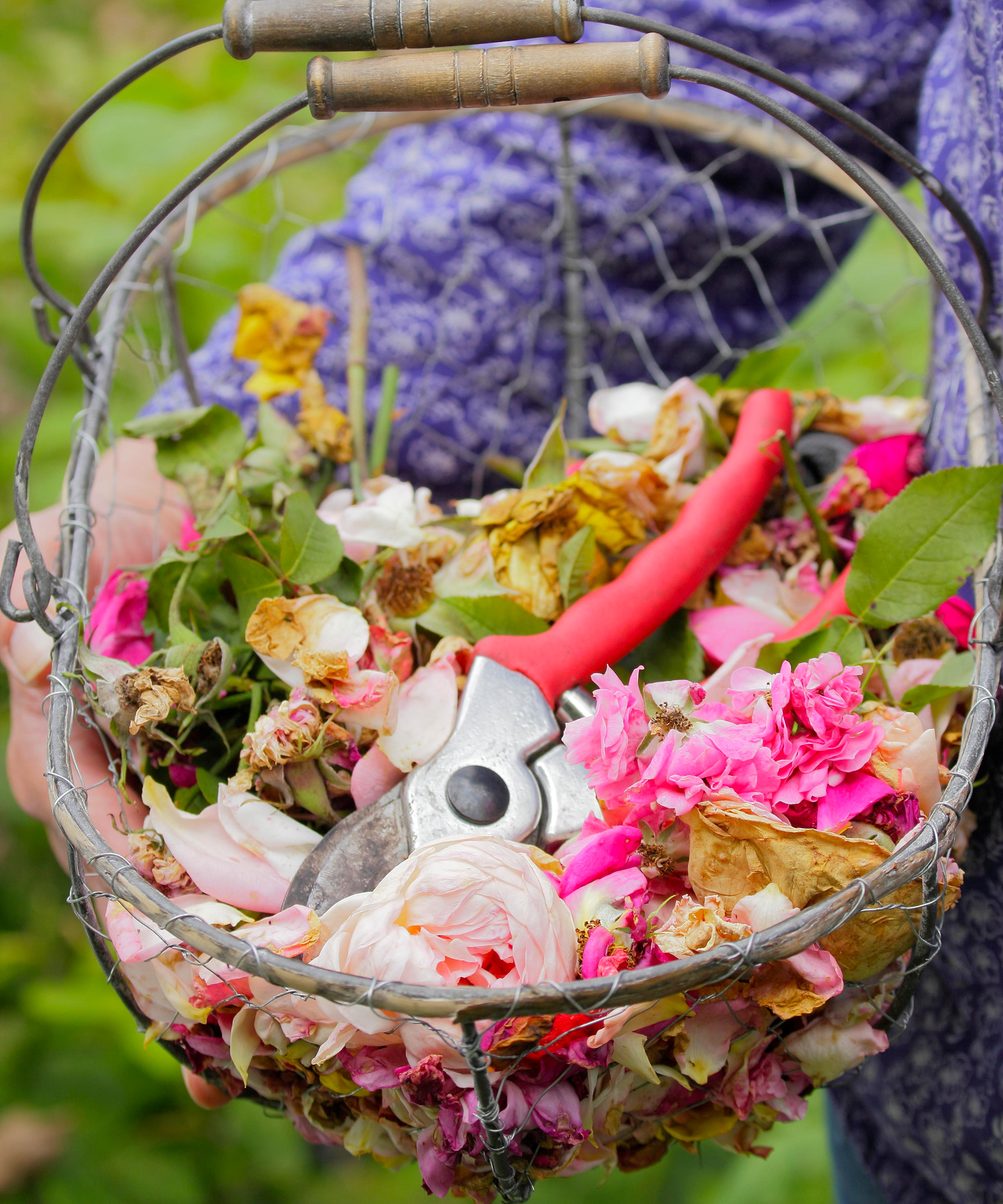 Basket of spent rose material