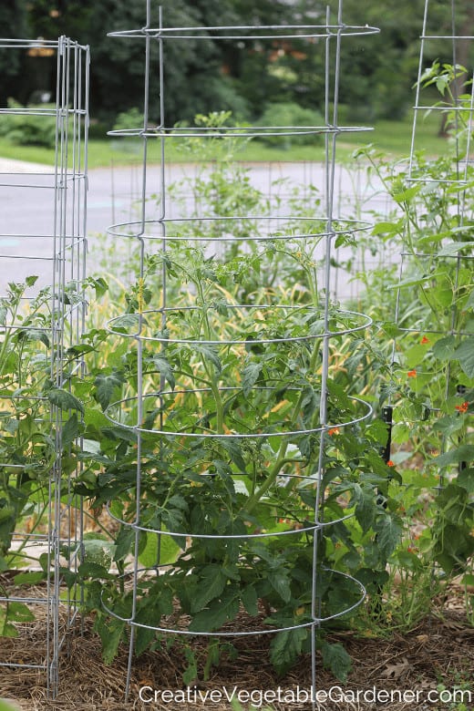 round tomato cage