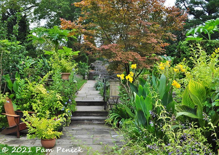 36_Path_Golden_paths_Canna.jpg