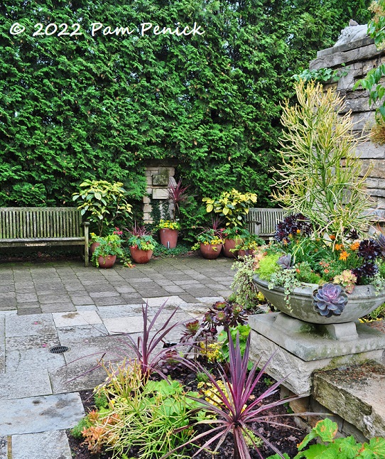 16_Tropicalesque_garden.jpg