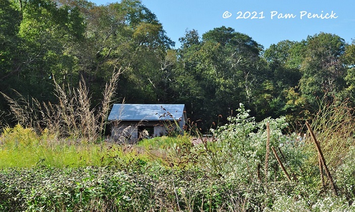 56_Meadow_welcome_center.jpg