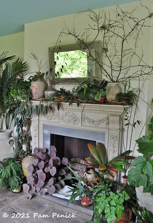 65_Porch_fireplace_w_plants.jpg
