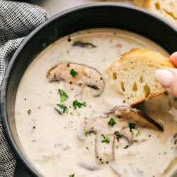 cream_of_mushroom_soup3-250x250.jpg
