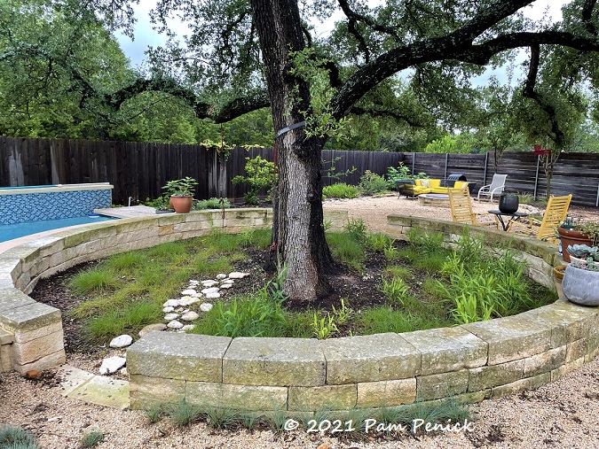 17_Large_tree_well.jpg