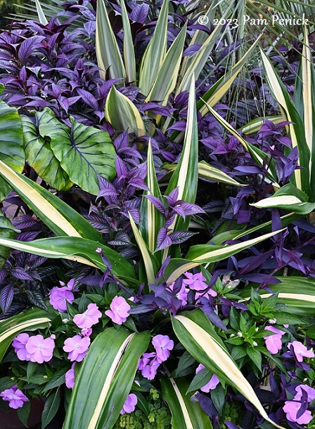 34_Tropical_container.jpg